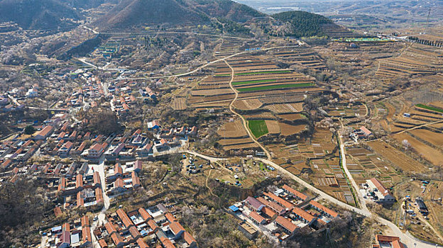 thống kê xổ số cần thơ