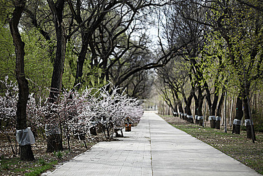 cầu tháng xsmb