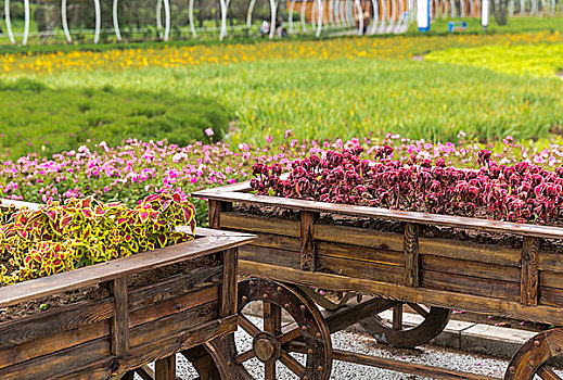 soi cầu cường đại phát