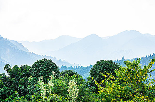 lô thủ soi cầu