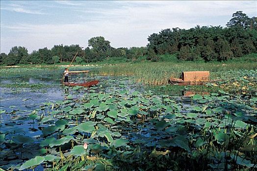 số vũng tàu