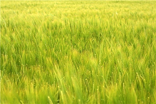 cách đánh đề giải đặc biệt