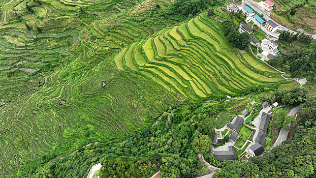 chốt số mb