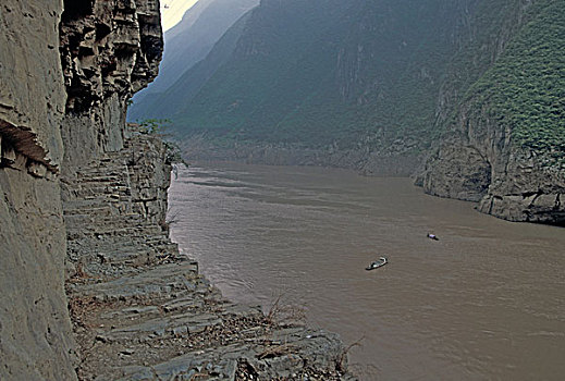 bạch thủ lô khung 5 ngày