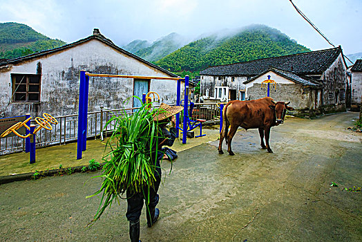 kết quả xổ số thành phố hồ chí minh