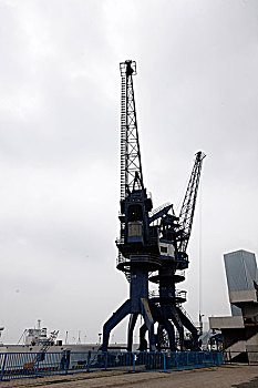 soi cau lo 8785