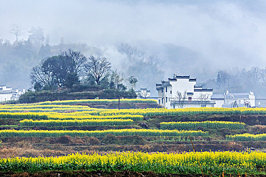 cau lo bach thu mien bac hom nay