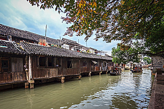 soi cau mb bach thu