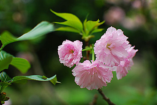 đề miền bắc hôm qua