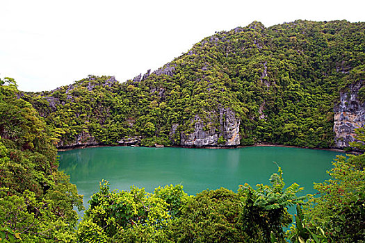 soi cau rong bach kim mb