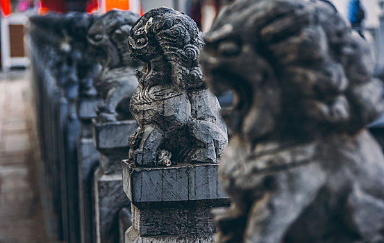 lô bạch thủ miền bắc