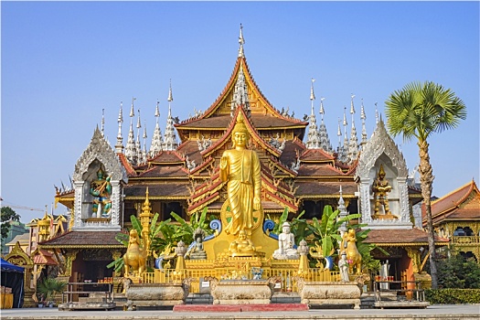 soi cau xo so kon tum