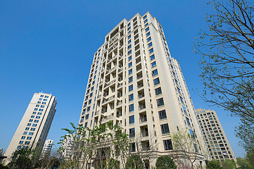 soi cầu bạch thủ 247